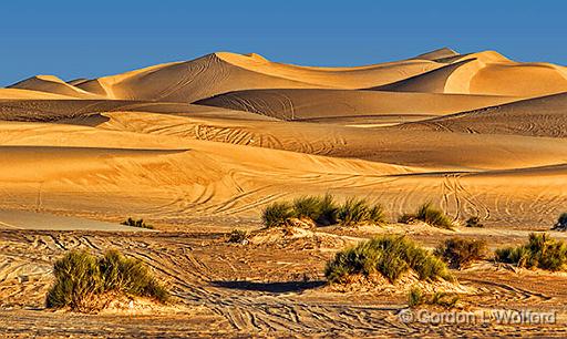 Imperial Sand Dunes_26531.jpg - a.k.a. The Algodones DunesAn 8 x 40 mile expanse of sand dunes that was one of thefilming locations for the movie 'The Return of the Jedi'.Photographed in California, 18 miles west of Yuma, Arizona, USA. 